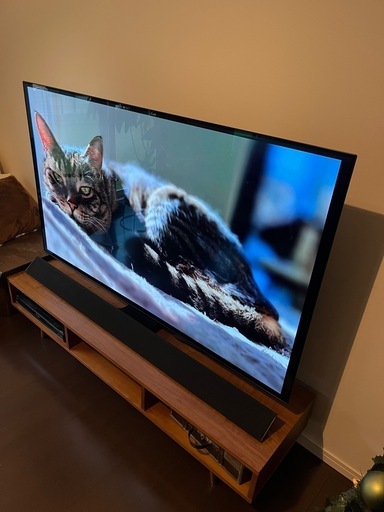 4K有機ELテレビ65 ジャンク パナソニック 65V型 4K対応 有機ELテレビ ジャンク