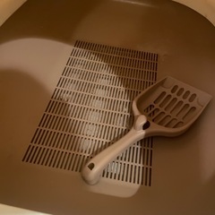 猫用システムトイレ、猫砂、ペットシートの画像