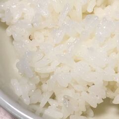 数量・期間限定値下げ 新米 令和７年玄米30kg 【三重県多気郡多気町】の画像