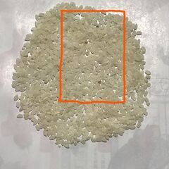 数量・期間限定値下げ 新米 令和７年玄米30kg 【三重県多気郡多気町】の画像