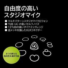 新品【LEWITT】LCT 441 コンデンサーマイク 実勢価格55000円~62970円の画像