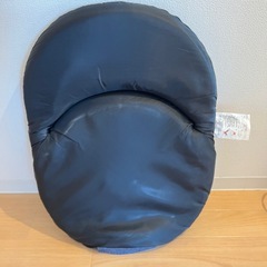 ●ニトリ　折りたたみ座椅子　スリムシュウノウザイスサーフの画像