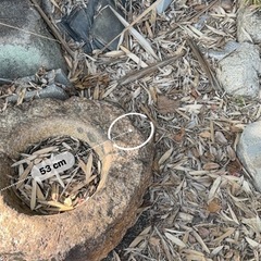 メダカ入れ、インテリアにの画像