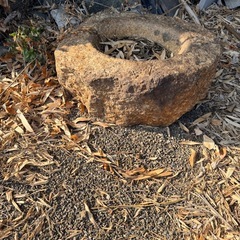 メダカ入れ、インテリアにの画像