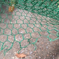 【未使用】金網の画像