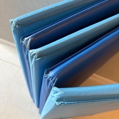 IKEA イケア　プレイマット　ブルー　子供部屋　ペット　お昼寝の画像