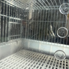 (お取引き中)うさぎゲージ他の画像