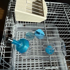 (お取引き中)うさぎゲージ他の画像