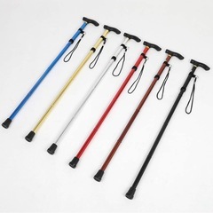 トレッキングポールの画像