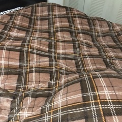 ニトリ毛布の画像