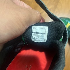 シュンソク　22.0の画像