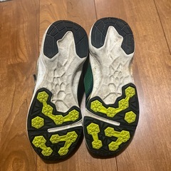 シュンソク　22.0の画像