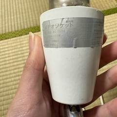 爬虫類用ライトの画像