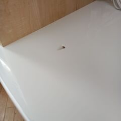 ★リユースのサカイつくば店★TK7771  レンジ台 ナチュラル H175×D46×W59 クリーニング済みの画像