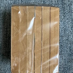 前田珠子の画像