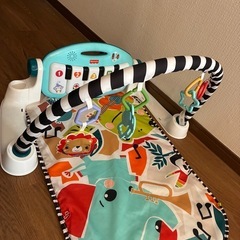 メリージムの画像