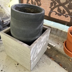 おしゃれ鉢セットの画像