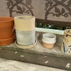 おしゃれ鉢セットの画像