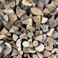 二年乾燥　広葉樹薪の画像