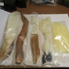 フライフィッシング用材料　羽・カッフテール・バッグテール他 １０点の画像