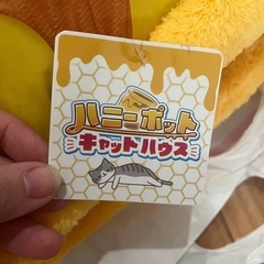 ハニーポット☆キャットハウスの画像