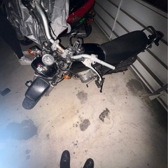 エイプ50の画像