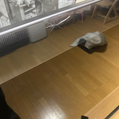 レグザ　55インチの画像