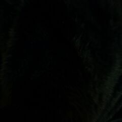 未使用/新品　アウトレット　ねこ。 毛布 2枚合わせ　 ダブル 洗える 掛けふとん 毛布  猫柄　ボンベイブラックの画像