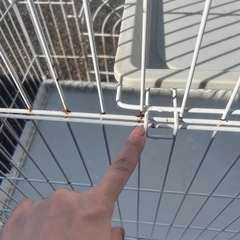 キャットケージの画像