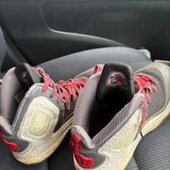 デニックローズの画像