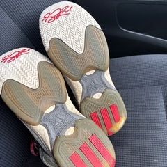 デニックローズの画像