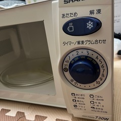 Sharp 電子レンジ RE-TD3-L6の画像