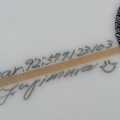 TFサーフボード ブレジン　Bird shadow bottomの画像