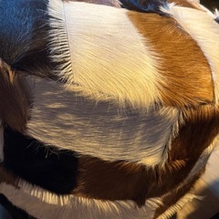 おしゃれなオットマンの画像