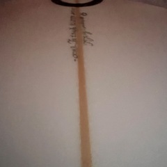 TFサーフボード ブレジン　Bird shadow bottomの画像