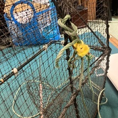カニ捕獲器 海水網 カニ網 仕掛け 蟹取り器の画像