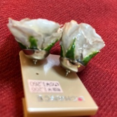 ピアス　未使用の画像