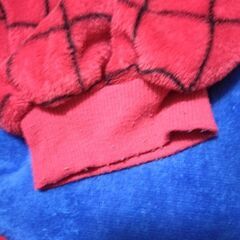 スパイダーマン着ぐるみの画像