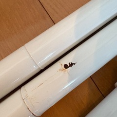 LOWYA つっぱり棚　の画像