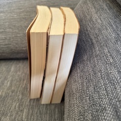 夢をかなえるゾウ　水野敬也の画像