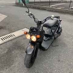 Zoomer 50ccの画像