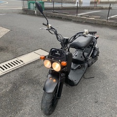 Zoomer 50ccの画像