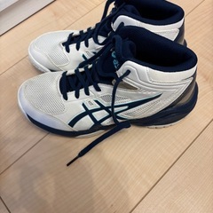 バスケ　asics ダンクショット 22センチ の画像