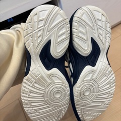 バスケ　asics ダンクショット 22センチ の画像