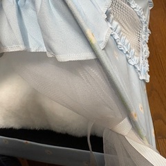 小動物用 テント 中古の画像