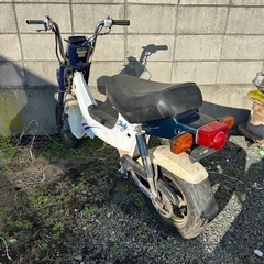 ホンダ シャリーの画像
