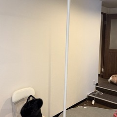 つっぱり棒 カーテンレールの画像