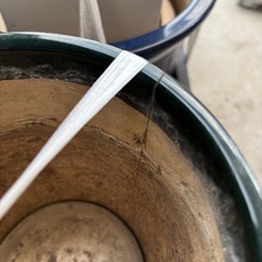 陶器の植木鉢　大きさ色々の画像