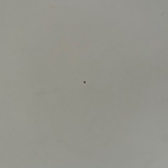 【無料】机　椅子　セットの画像