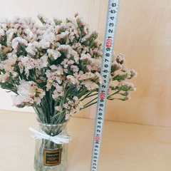 無くなり次第終了　⭐ スターチス「ブラウンアッシュ」　50本 　レアカラーアッシュ 　ドライフラワーの画像